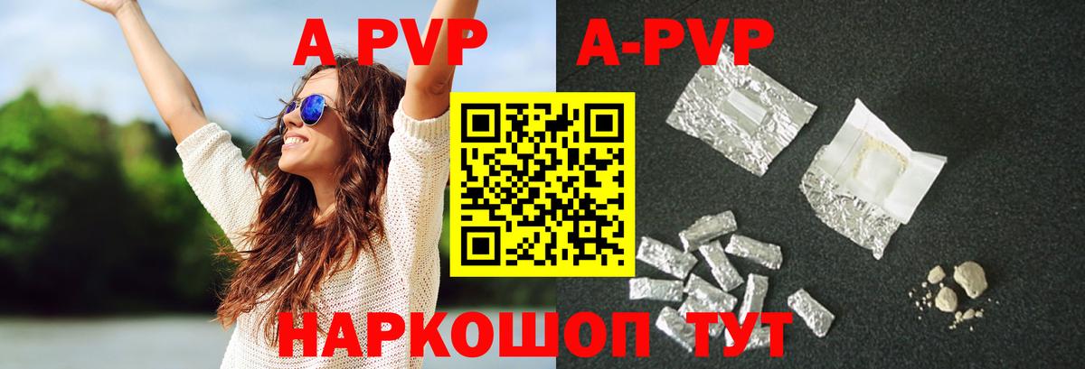 A PVP СК КРИС Магадан