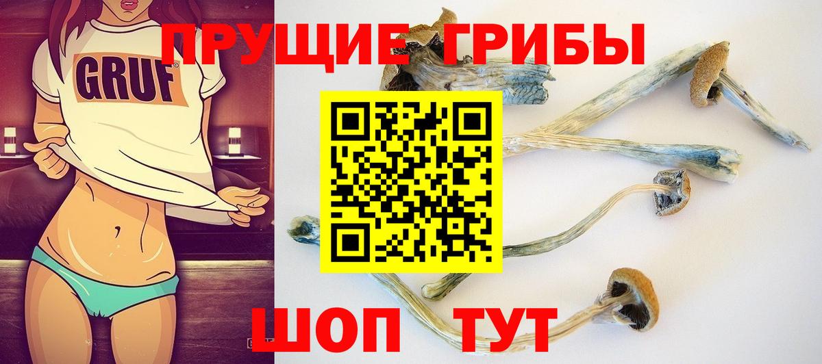 Галлюциногенные грибы Cubensis  Вход с VPN  Магадан 